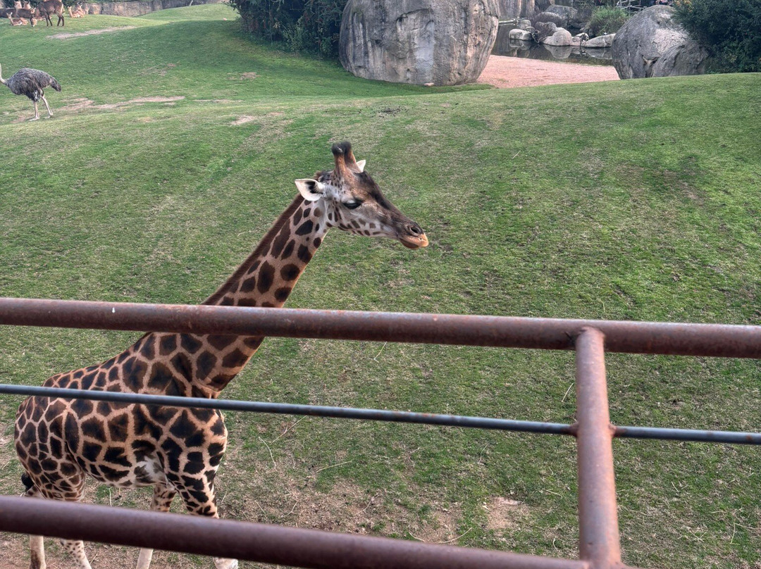 Zoom Torino-Cumiana必去景点