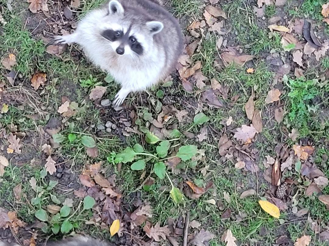 Legendia Parc-Frossay必去景点
