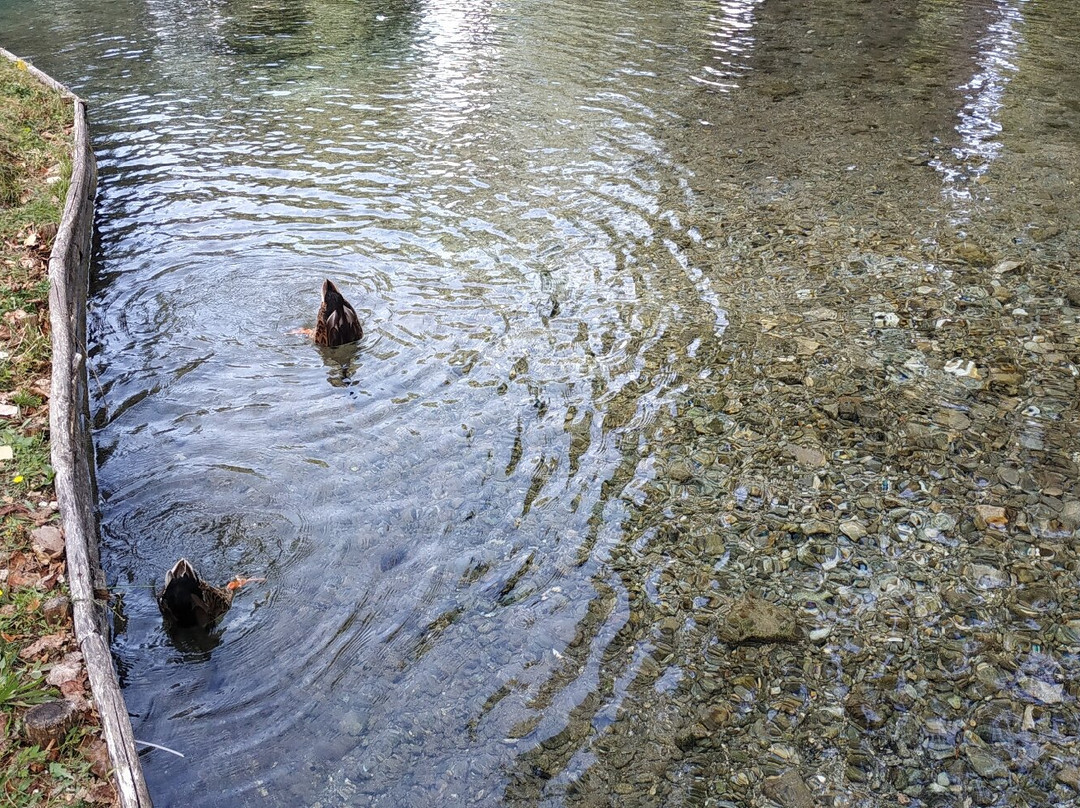 Le Fonti del Clitunno-Campello sul Clitunno必去景点
