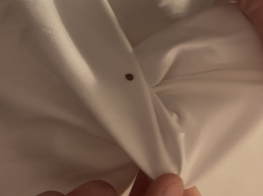 Super 8 by Wyndham Canonsburg/Pittsburgh Area主图