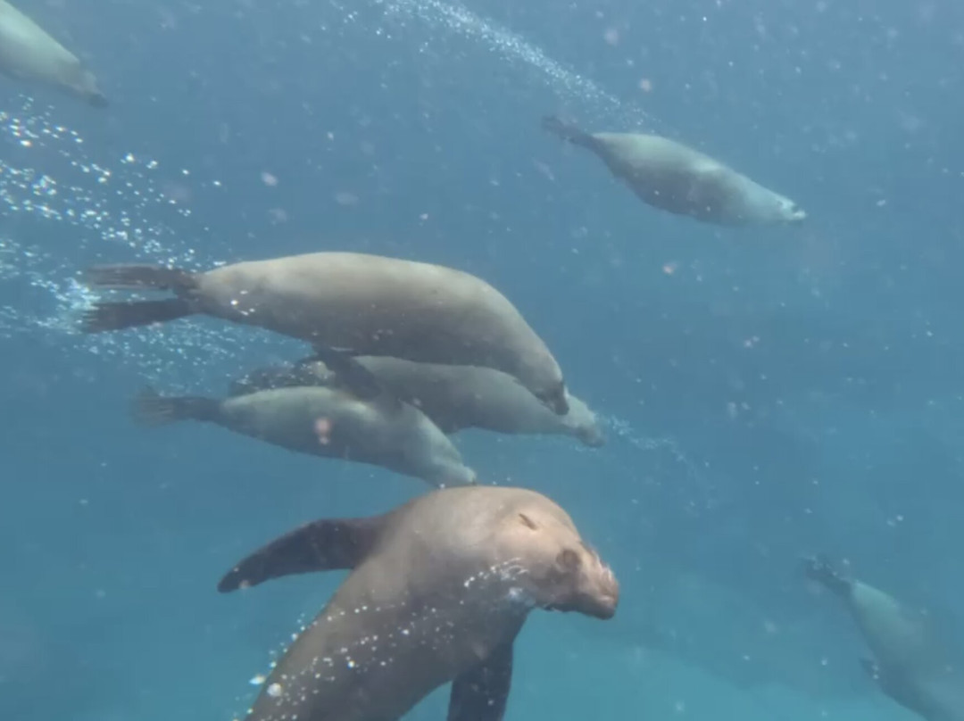 Woebegone Freedive-赫斯基森必去景点