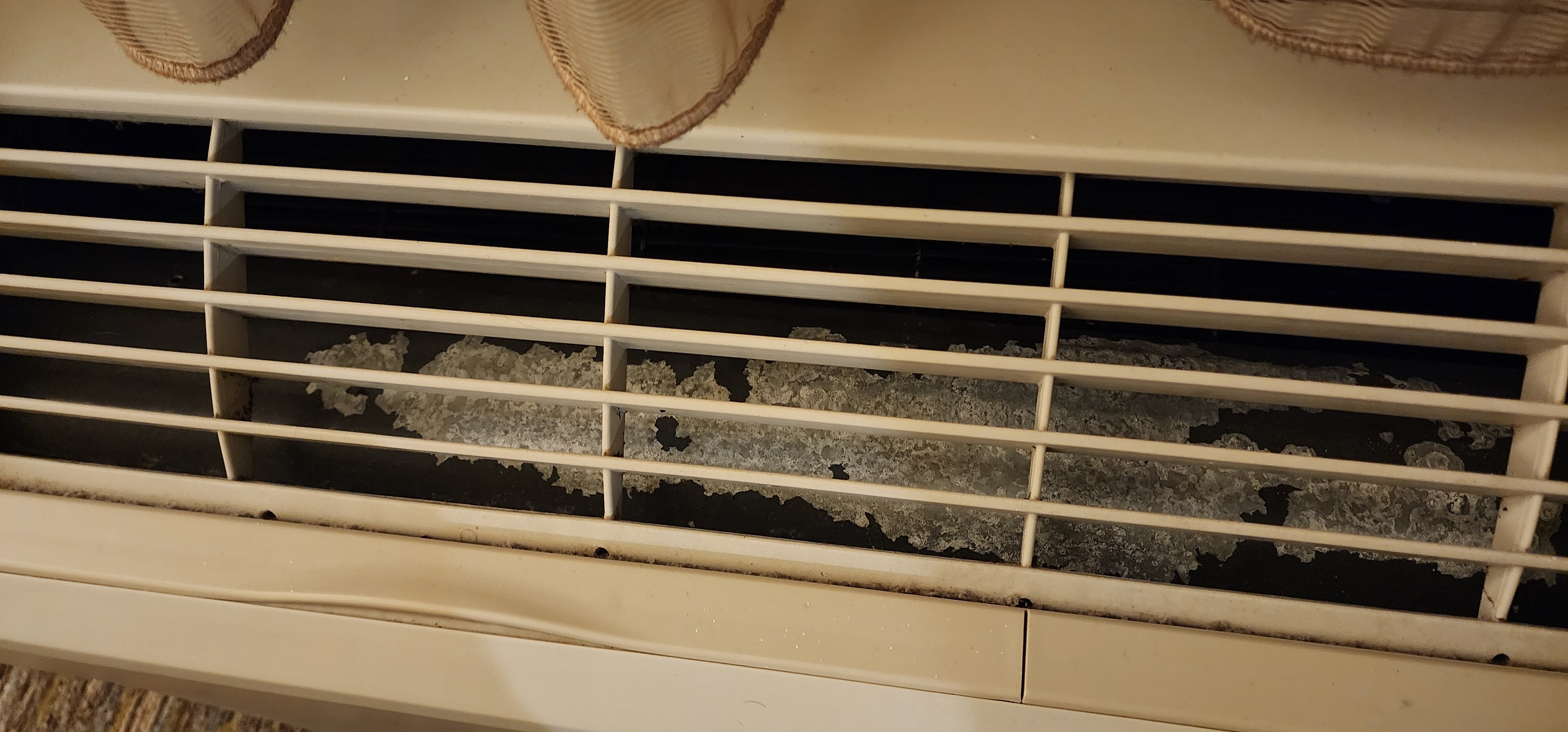 Candlewood Suites Bloomington By IHG-官方