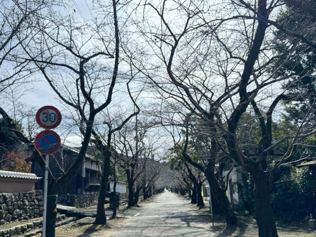 Akizuki  Art Museum-朝仓市必去景点