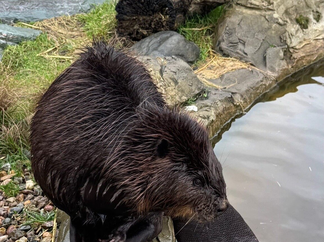 All Things Wild-Honeybourne必去景点