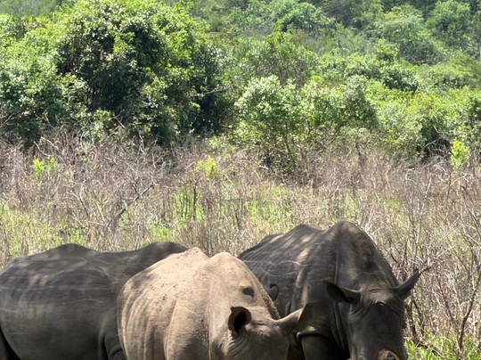 Durban Day Safaris-德班必去景点