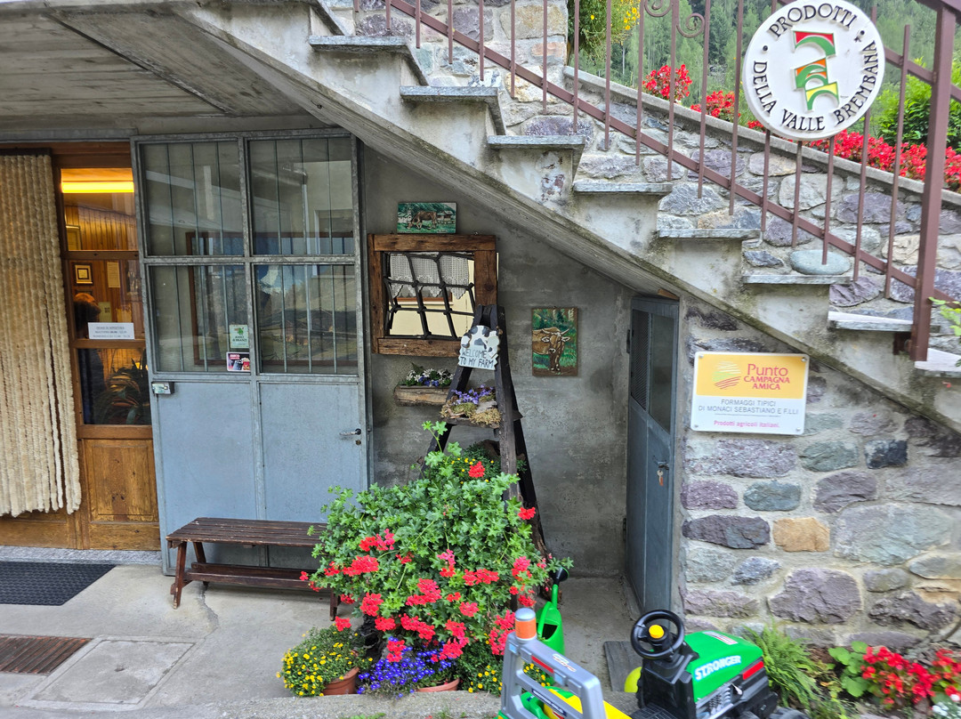 Azienda Agricola Monaci Sebastiano & F.lli-Gardata必去景点