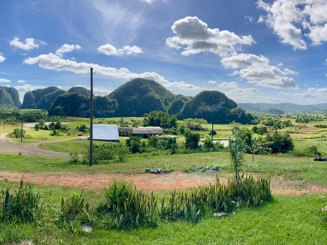 Authentic Tour Delivery-null必去景点