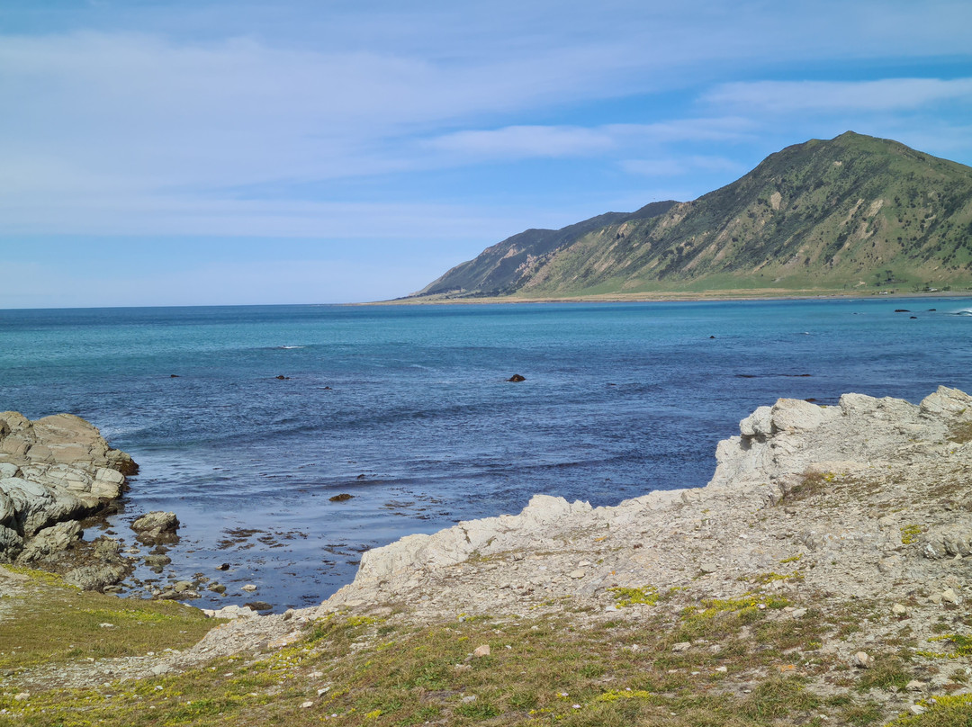 Tora Coastal Walk-马丁堡必去景点