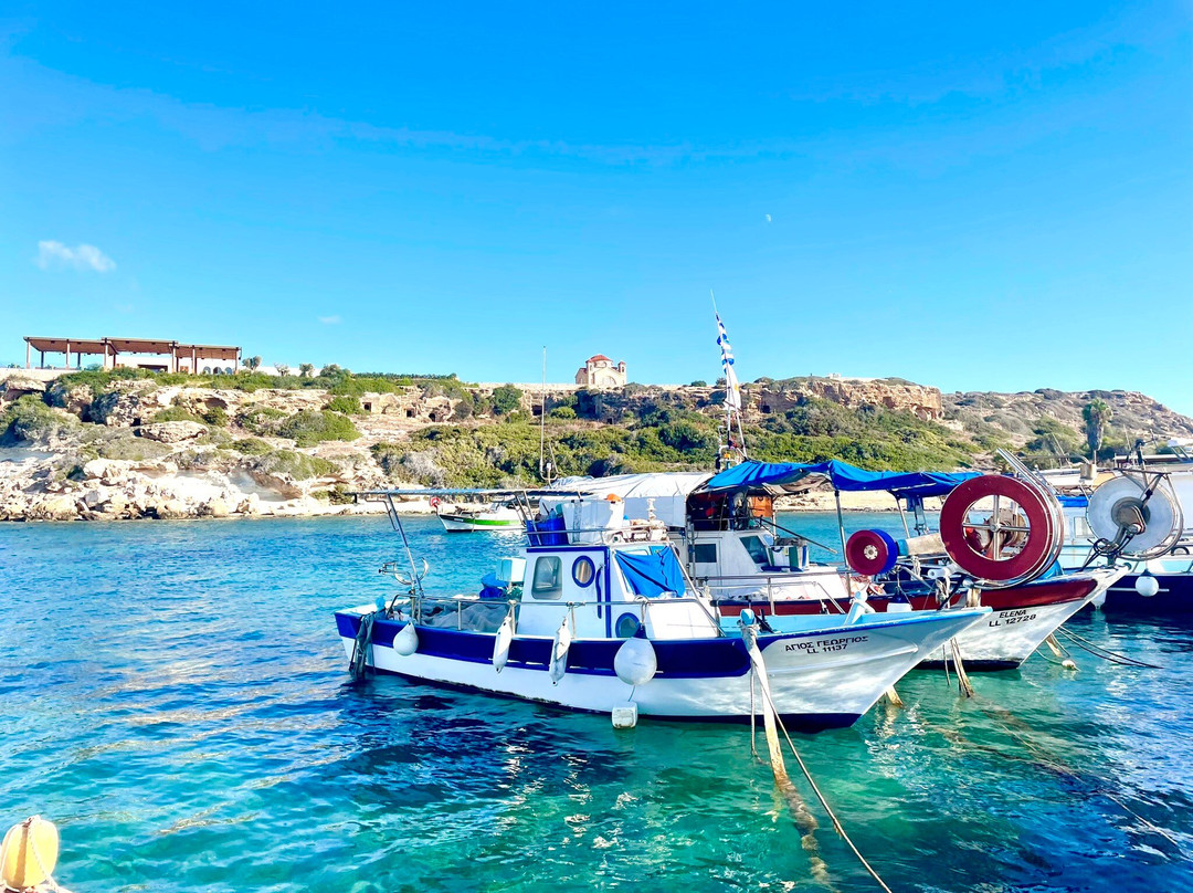 Coral Bay Divers-帕福斯必去景点