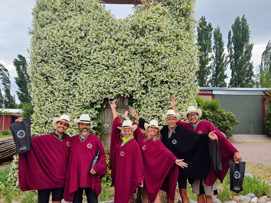 Bodega Hacienda del Plata-路冉得库约必去景点
