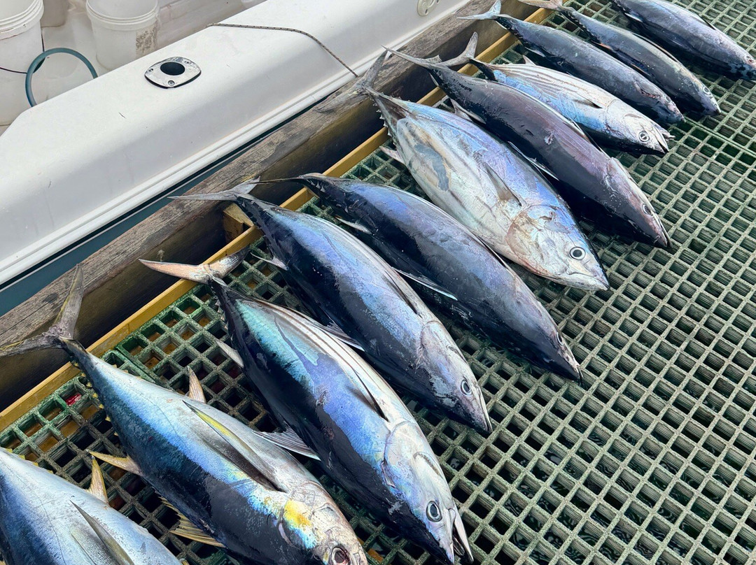 Fish Whisperer-黑河必去景点