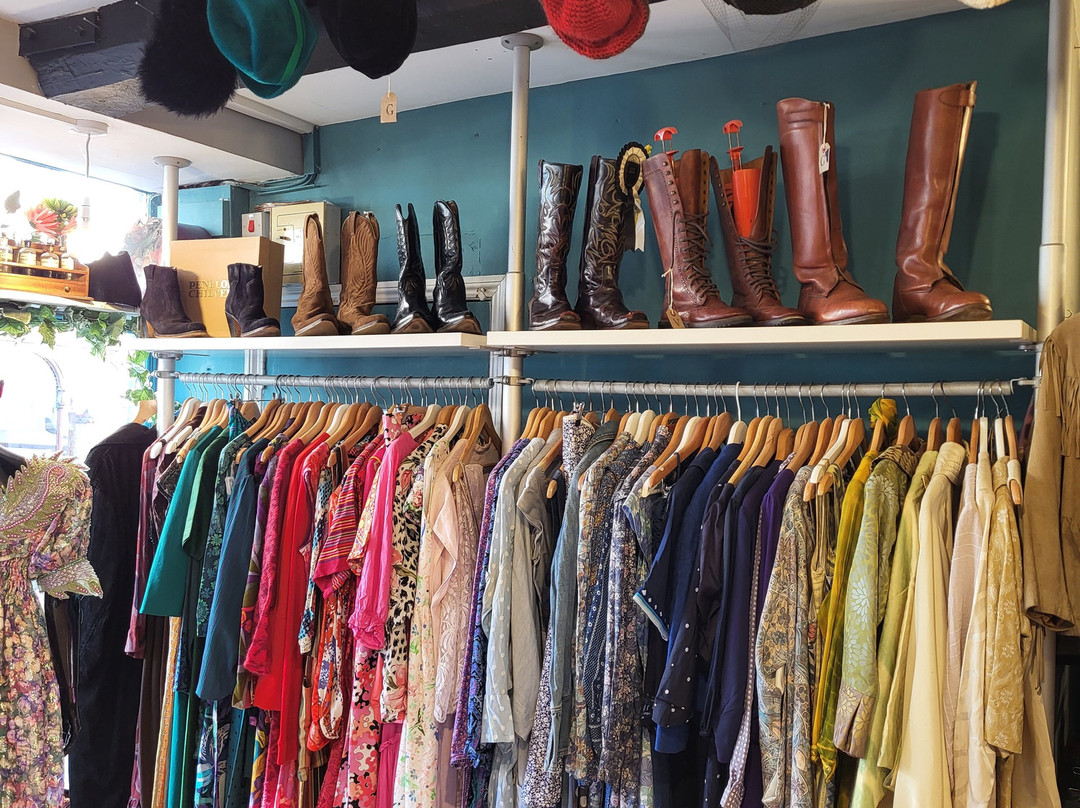 The Dandy Lion-弗罗姆必去景点