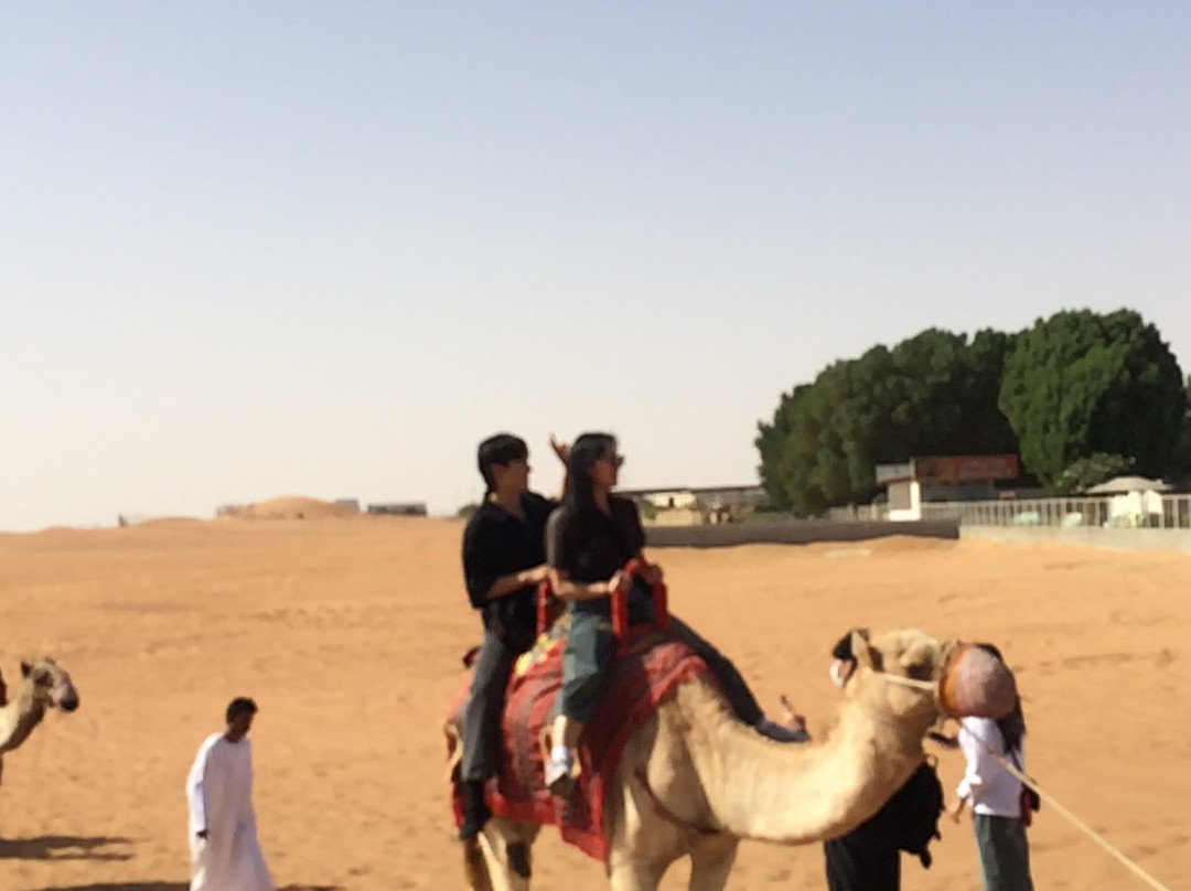 RM Adventure Tourism-迪拜必去景点