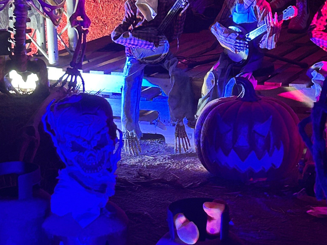 Pumpkin Time @ Sunnyfields Farm-Totton必去景点