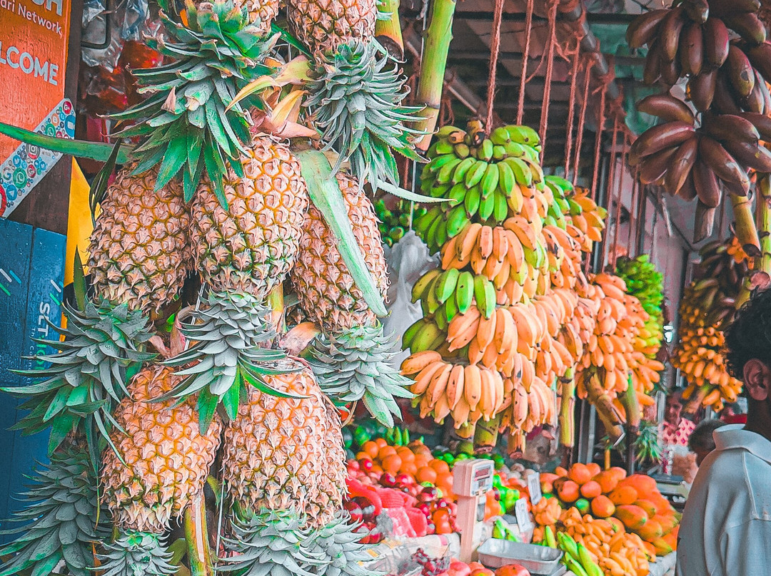 Rustic Cooking Class Colombo-科伦坡必去景点