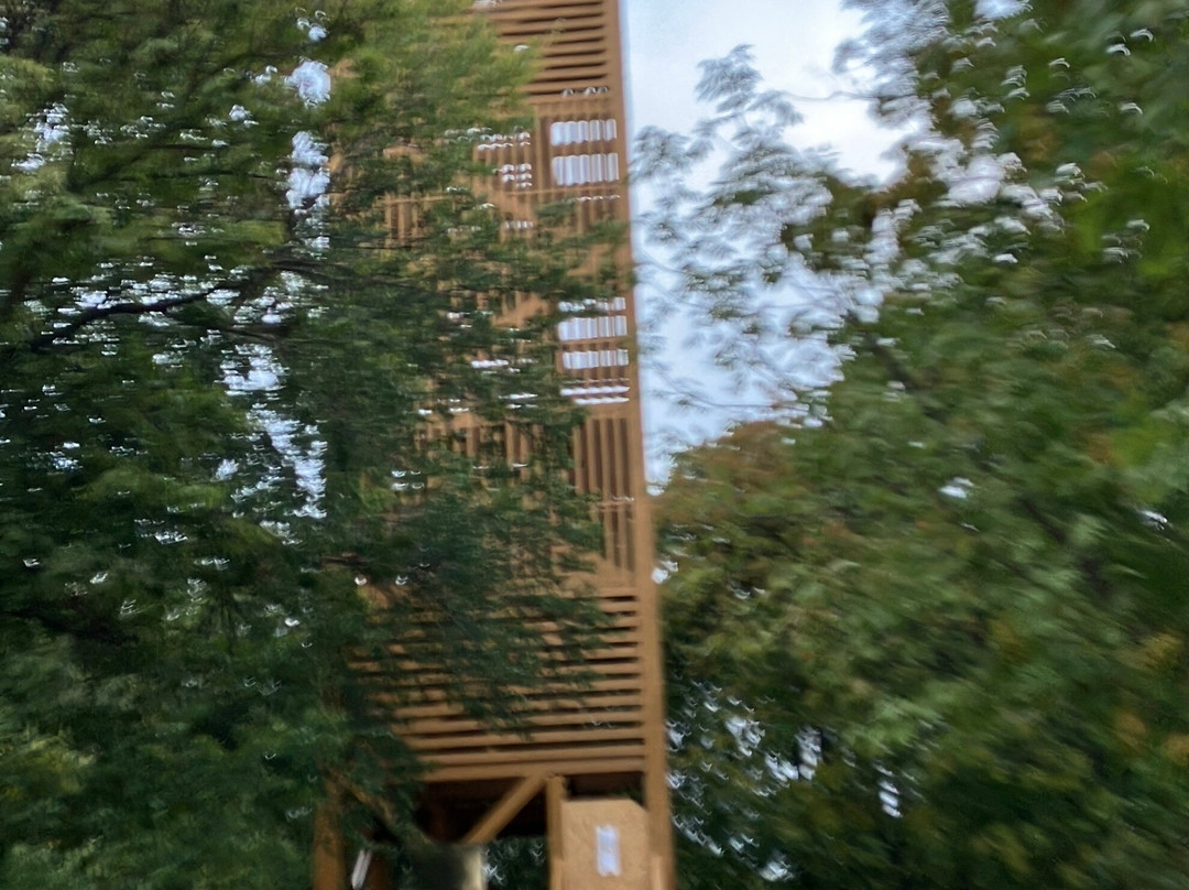 Boldog Mór-kilátó