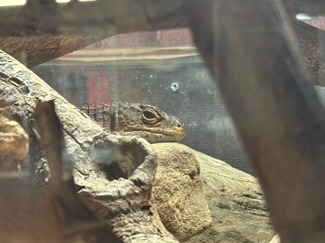 Cannon Hall Farm-Cawthorne必去景点