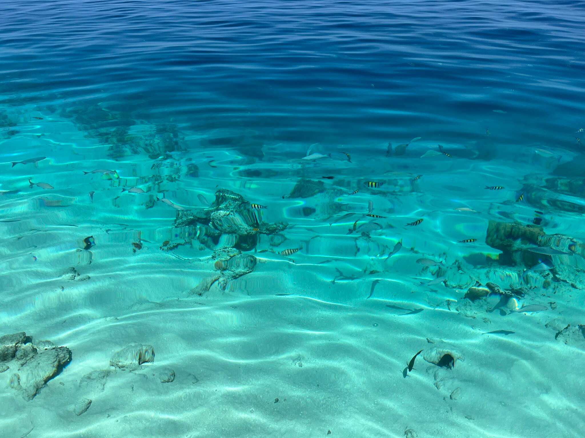 Cocogiri Island Resort Maldives-官方