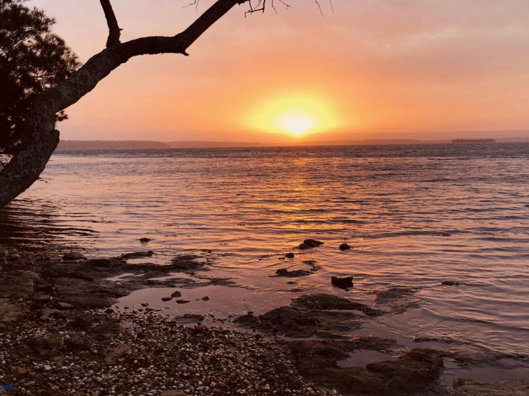 Paradise Beach Apartments主图