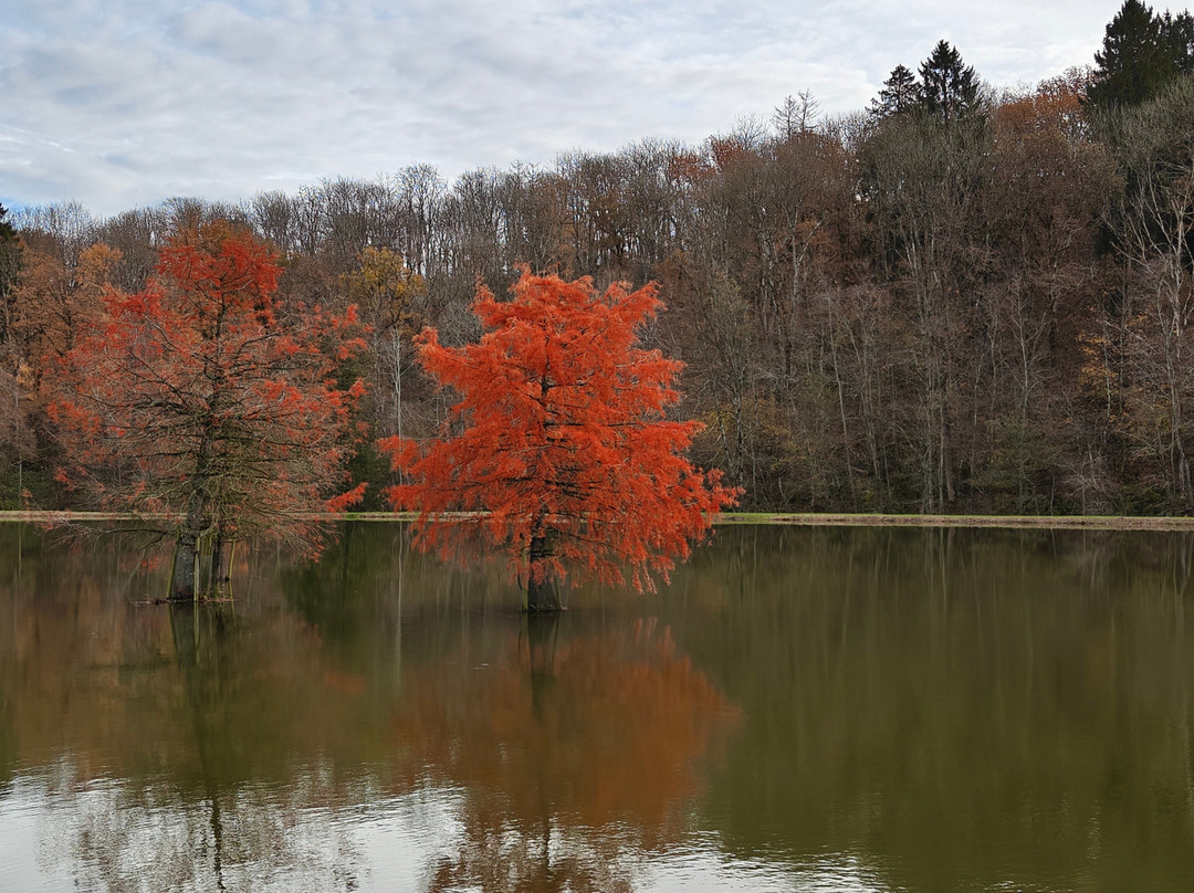 Domaine Provincial de Chevetogne-Chevetogne必去景点