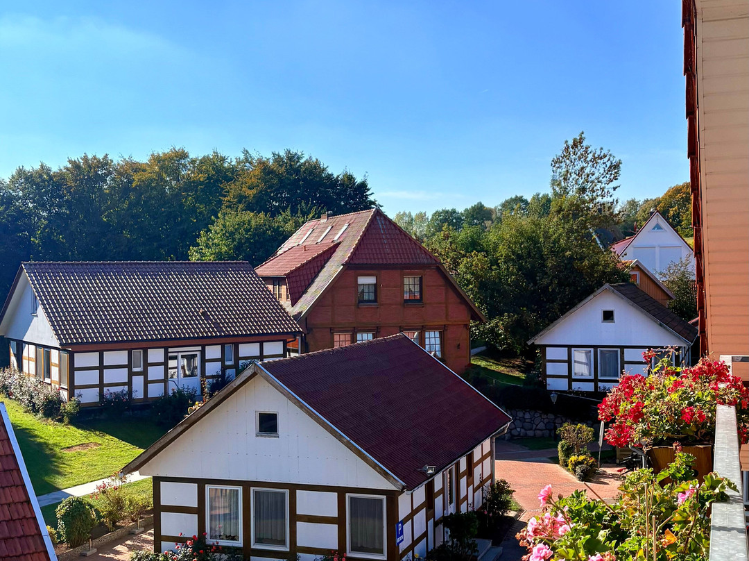 Alcor Hotel Feriendorf an der Ostsee主图