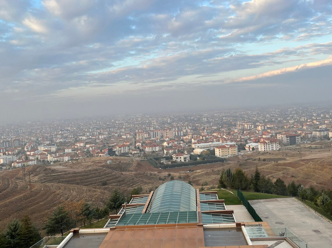 Grand Altuntas Hotel主图