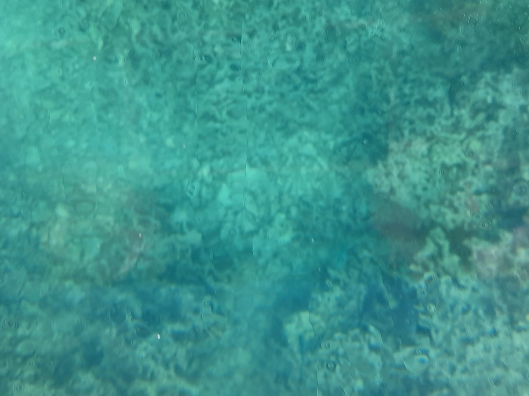 Blue Bay Marine Park-马喜埔必去景点