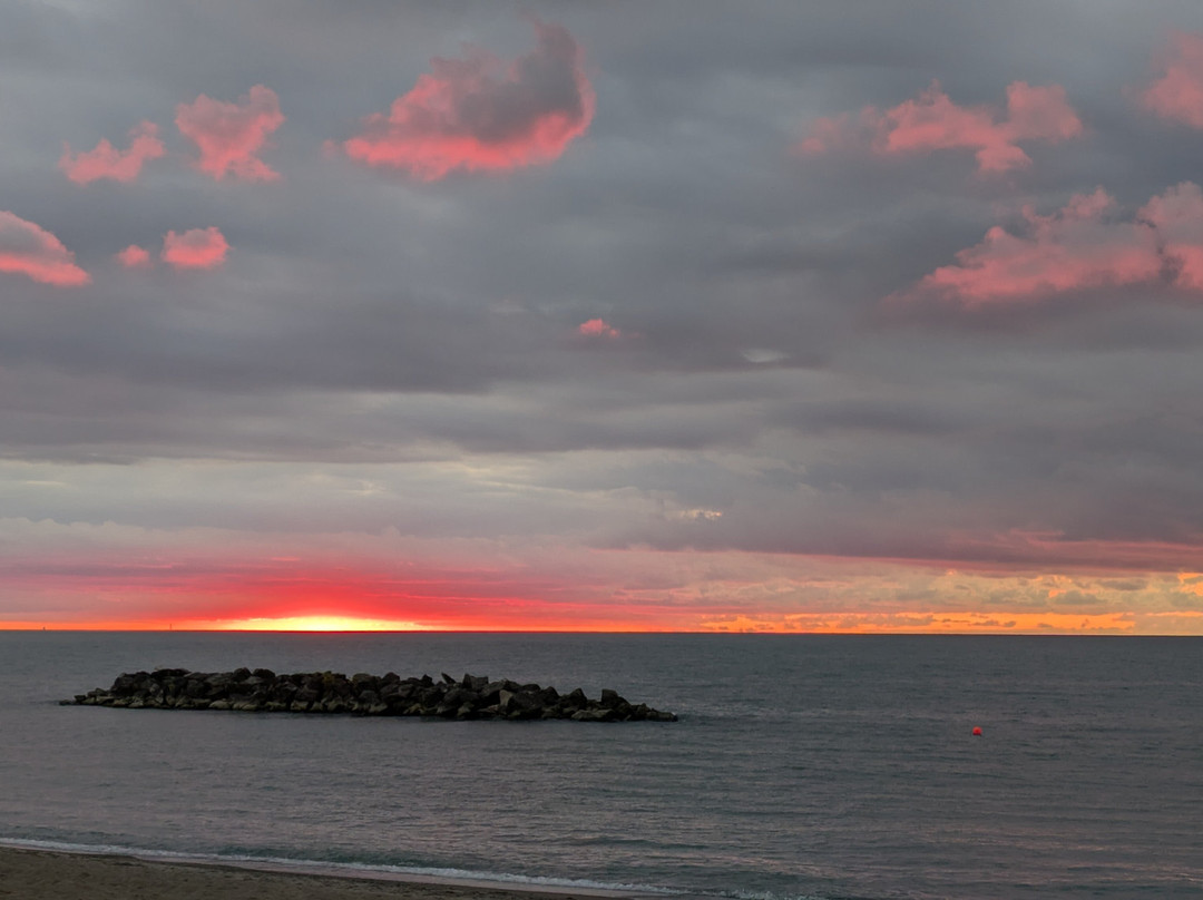 Euclid Creek Reservation-Euclid必去景点
