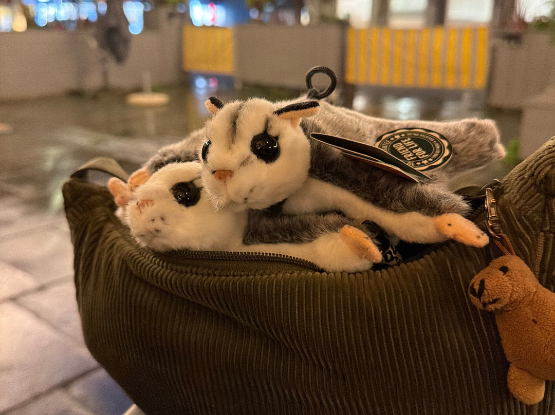 Cuddly Colony-布莱顿必去景点