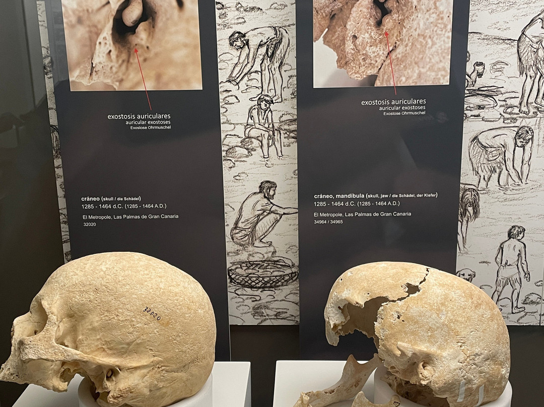 El Museo Canario-大加那利岛拉斯帕尔马斯必去景点