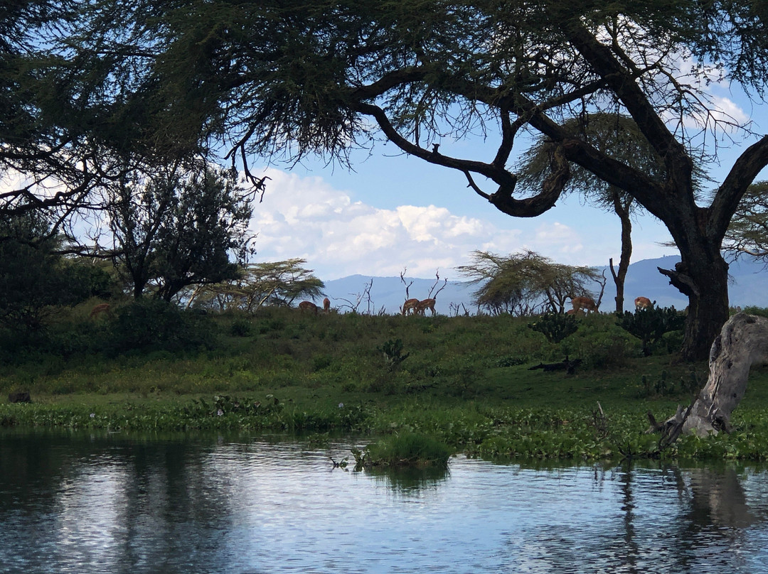 Lake Naivasha-奈瓦夏必去景点