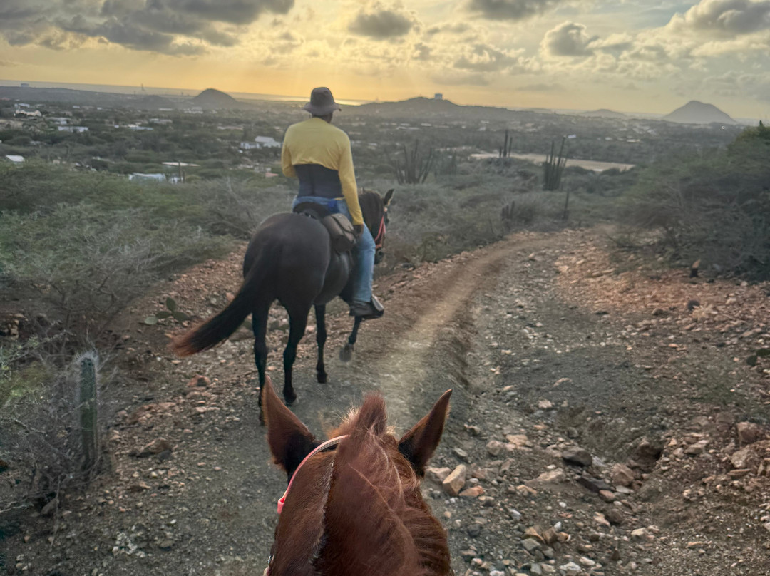 Rancho Loco-Santa Cruz必去景点