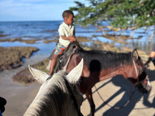 Izzy Rides CR-旧港必去景点