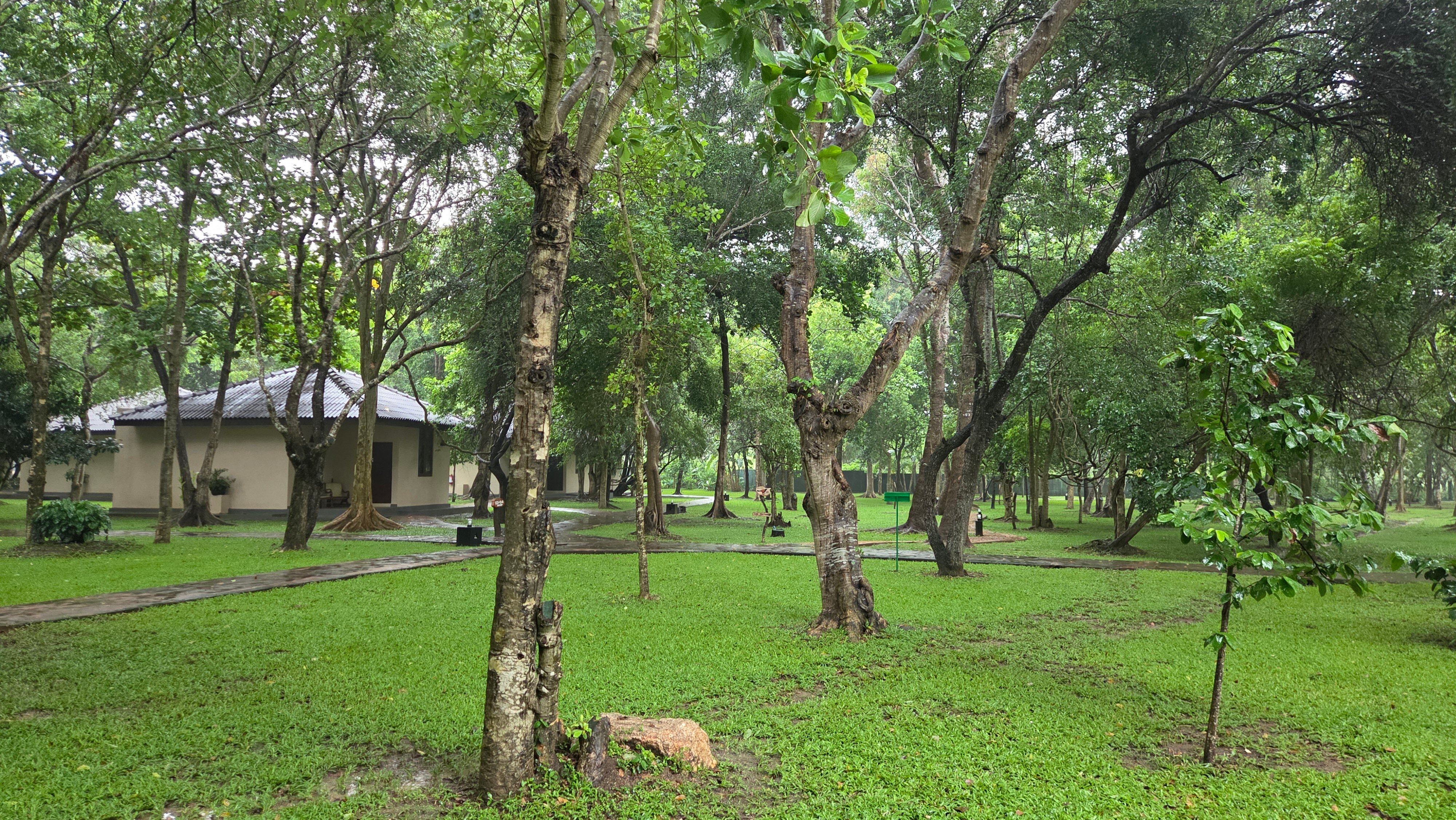 迦叶狮石酒店-官方