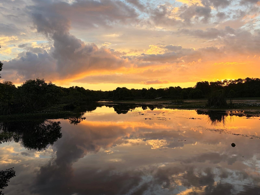Kalametiya Bird Watching & Ecotourism-Kalametiya必去景点