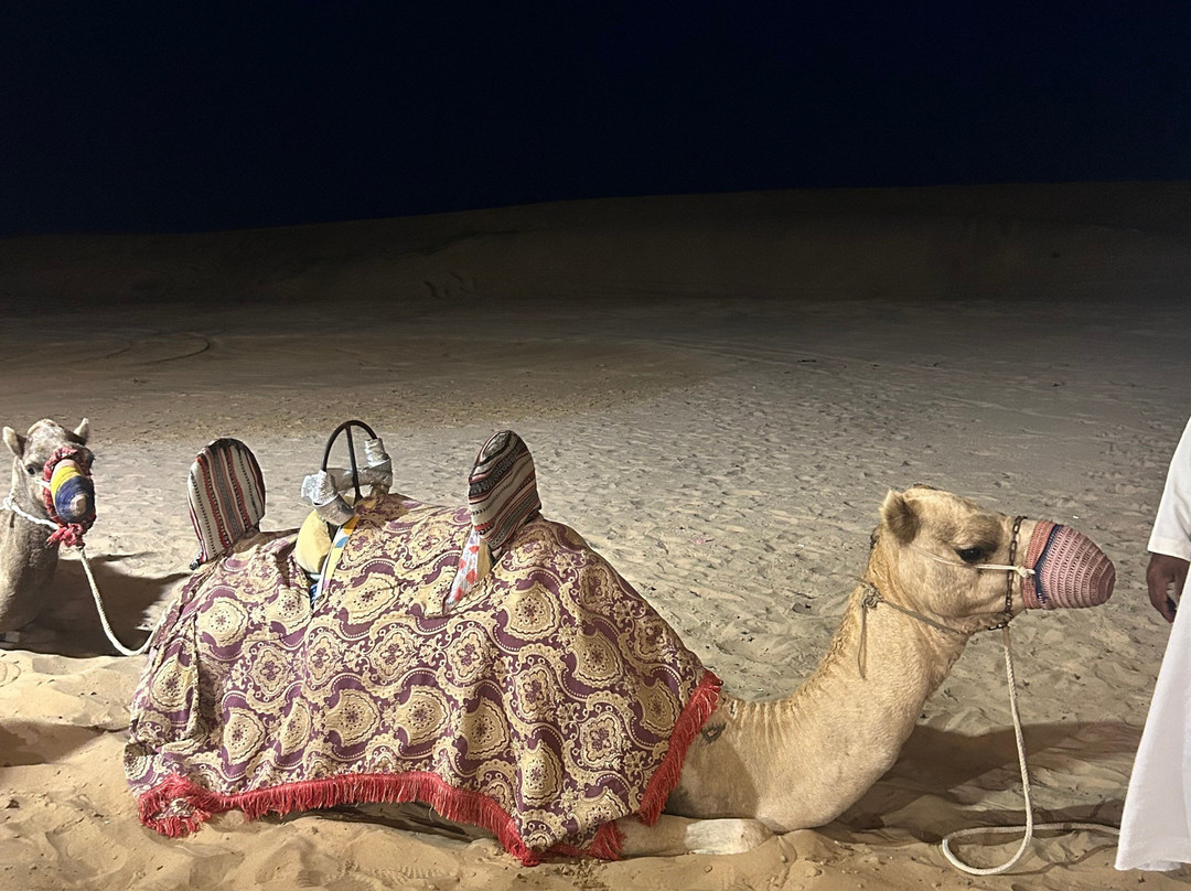 Lead Adventure Tour-迪拜必去景点