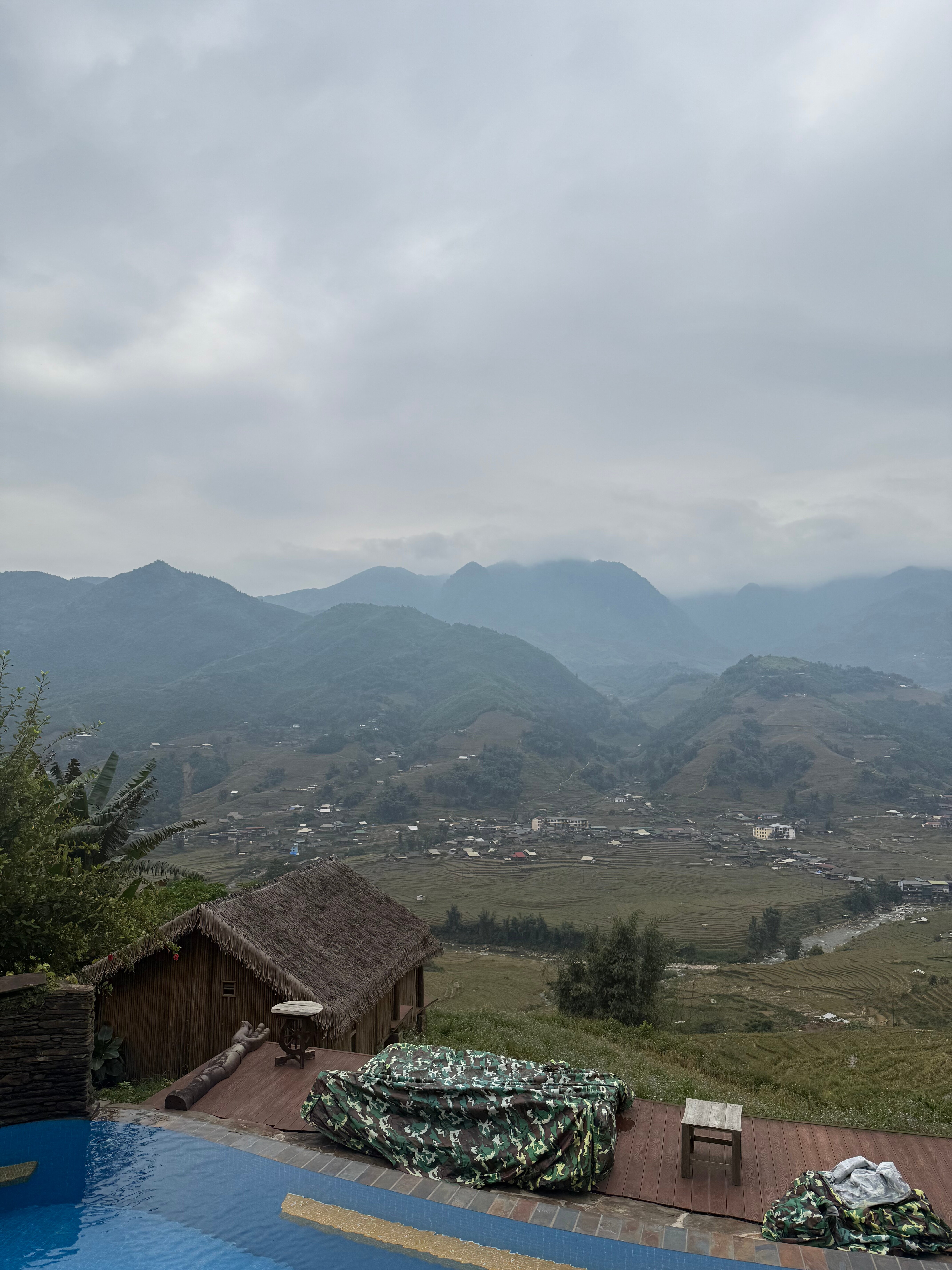 Eco Palms House-官方