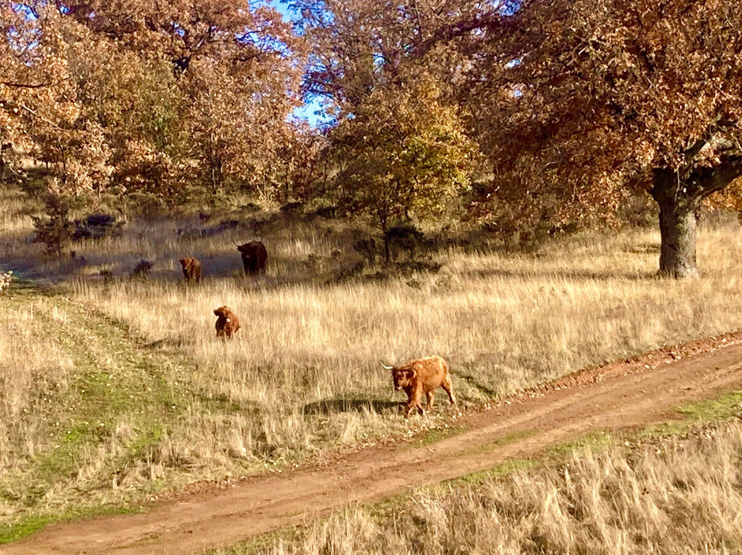 Paleolitico Vivo-布尔戈斯省必去景点