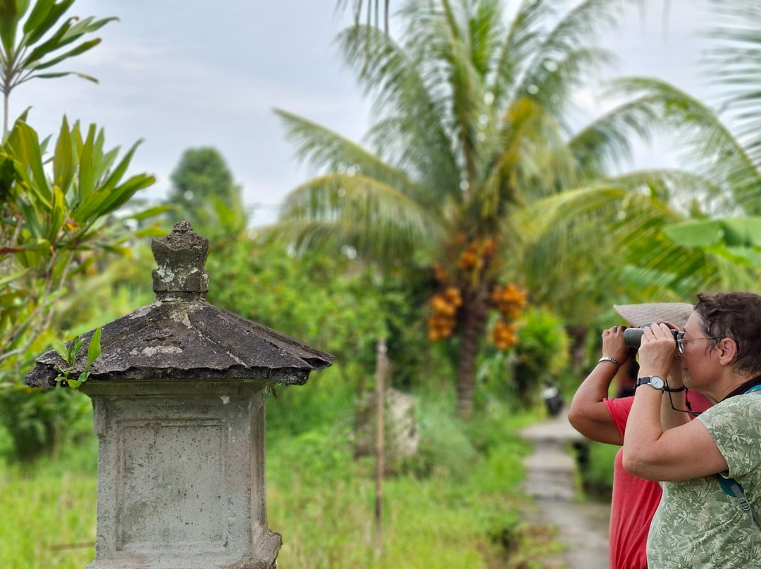Bali Bird Walks-乌布必去景点