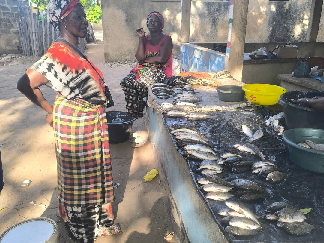 Guide to Sénégal-Ponto必去景点