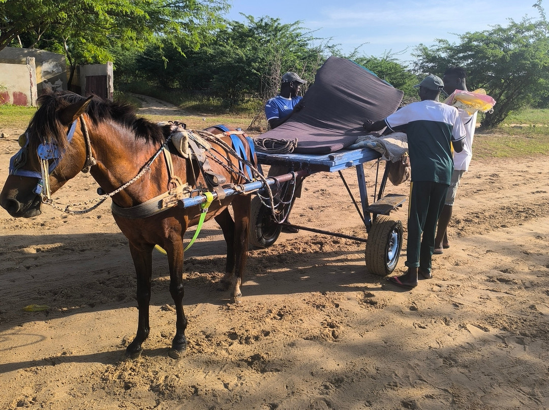 Guide to Sénégal-Ponto必去景点