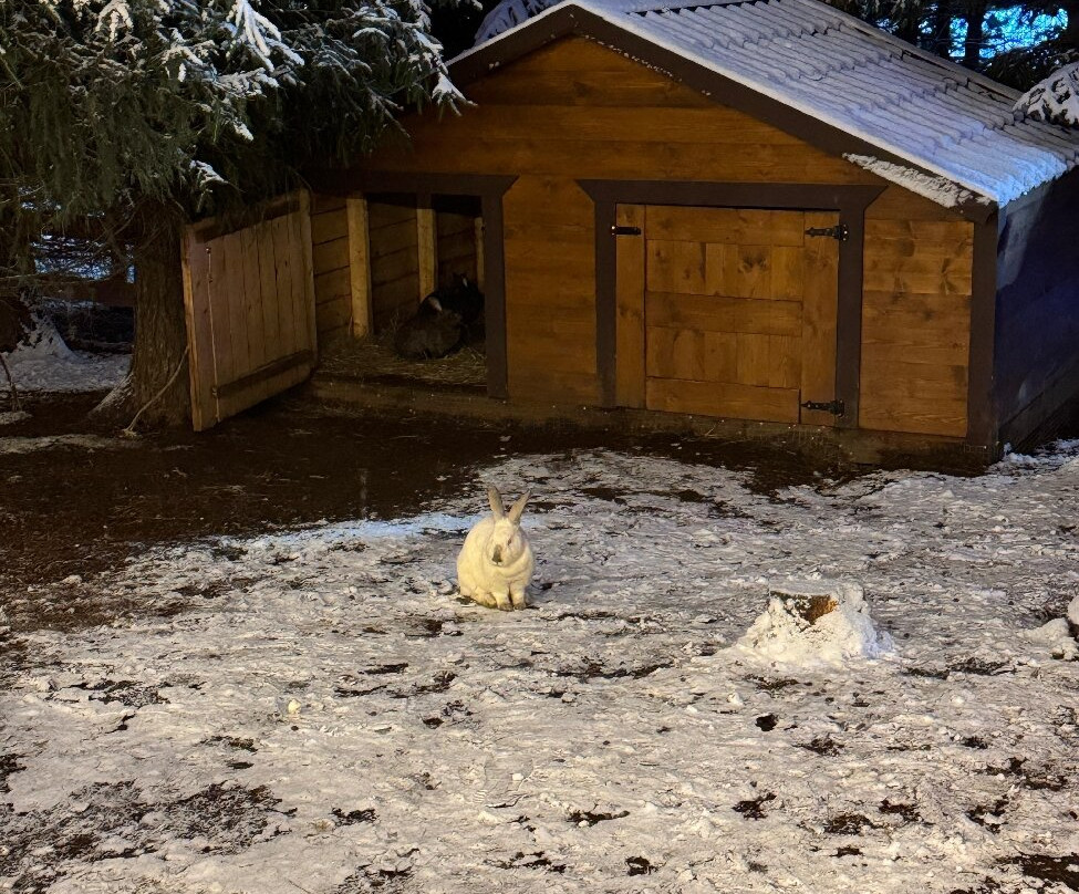 Alpaca Park-Mistolovo必去景点