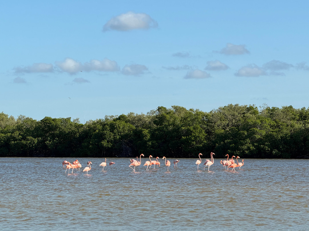 Rio Lagartos Adventures-里奥拉加托斯必去景点