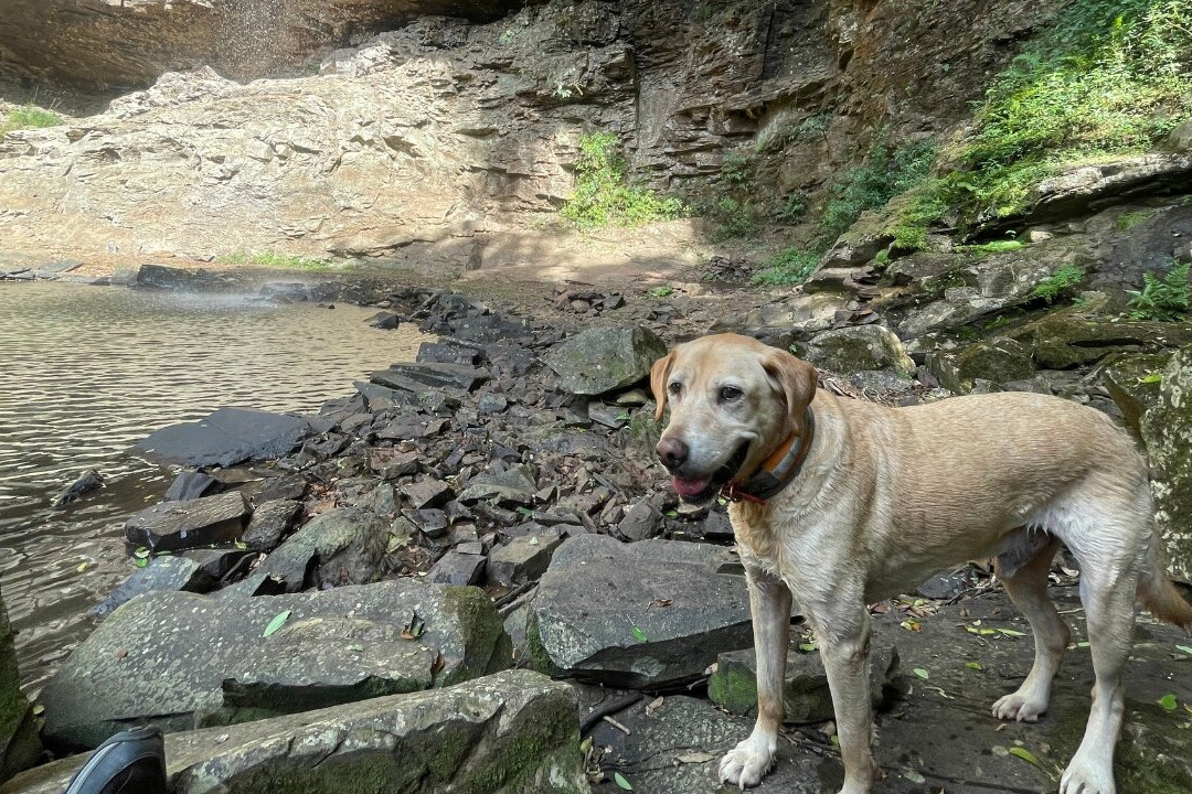 Cascata dos Italianos-Igrejinha必去景点