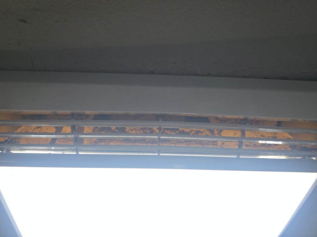 Best Western Savannah Airport Inn & Suites主图