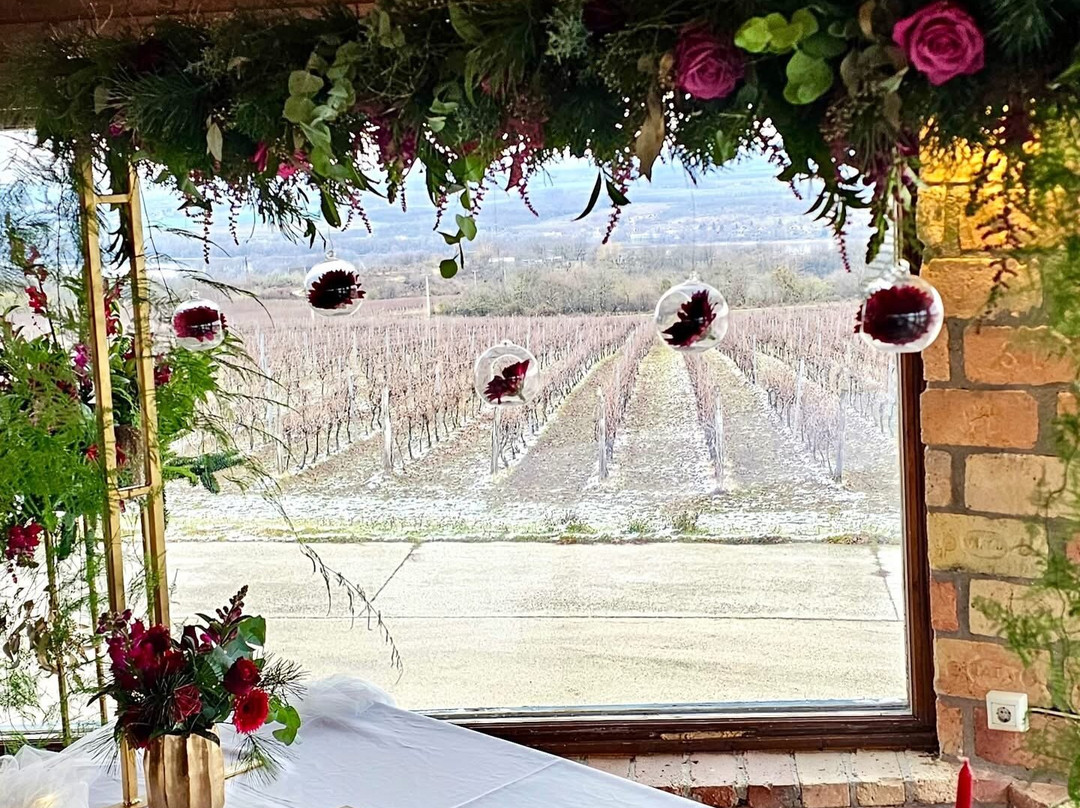 Hilltop Borbirtok & Étterem主图