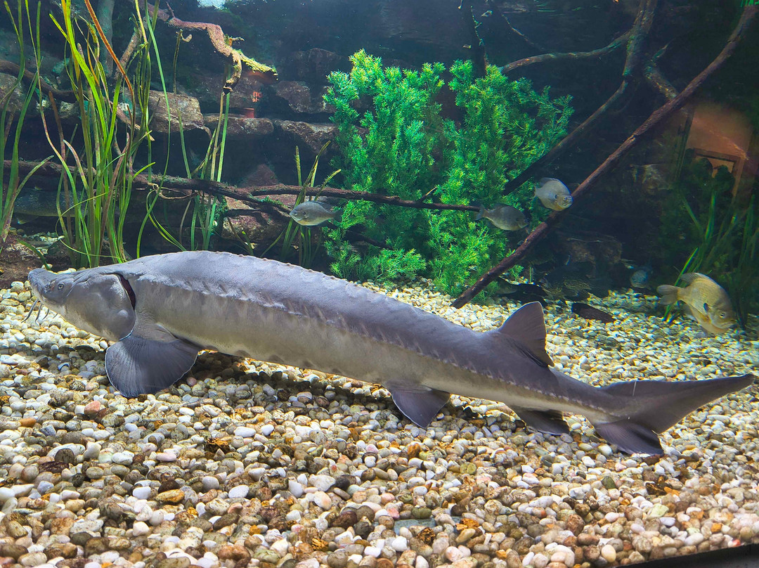 托莱多动物园-托莱多必去景点