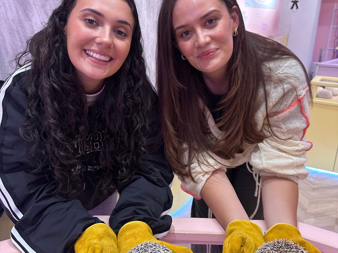 Harajuku Kawaii Land Kyun Kyun-涩谷区必去景点