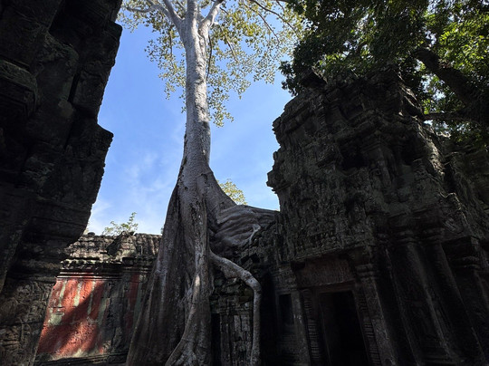 eXplora expedition-斯泰伦博斯必去景点