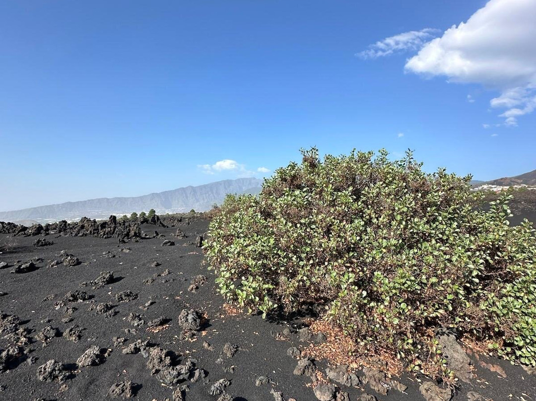 Graja Tours-巴尔玛圣库鲁斯必去景点